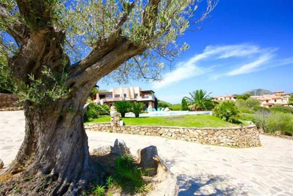 Villa And Pool Tavolara View Porto Istana Luaran gambar